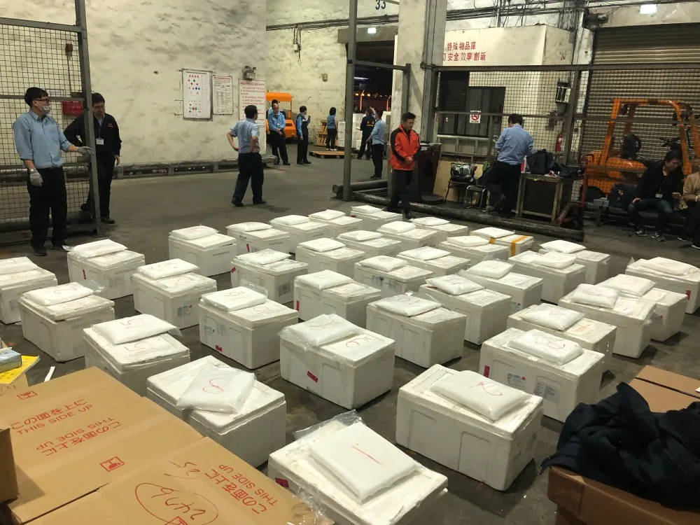 空運毒品增　調查局與關務署合作半年破獲380公斤毒品