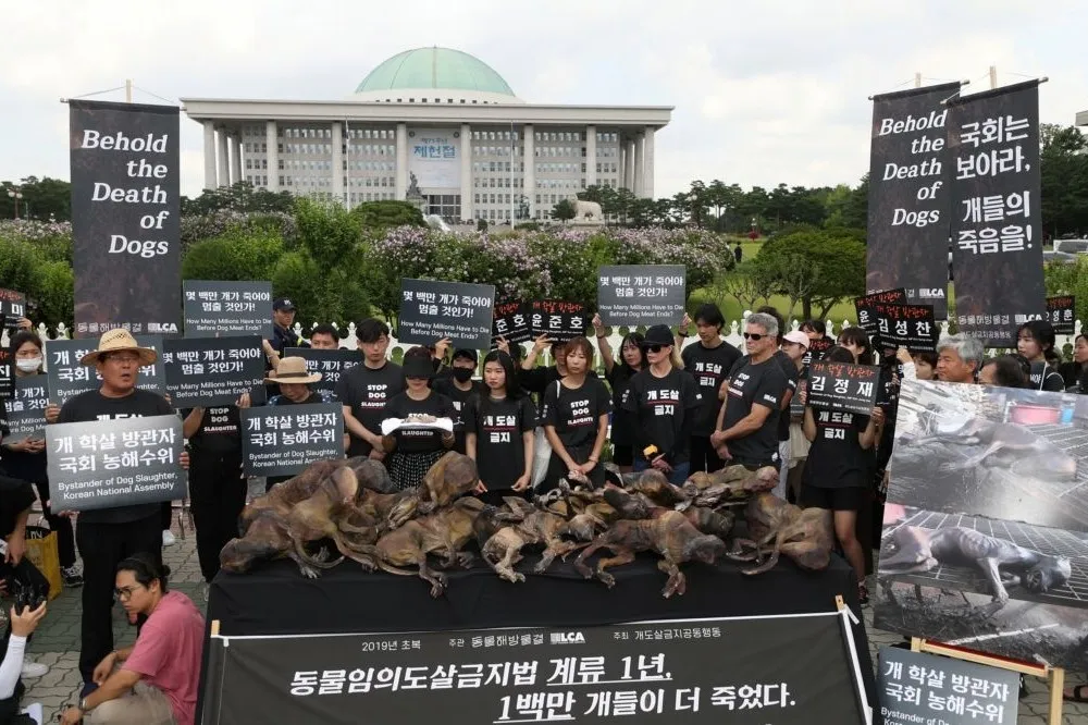 南韓國會審議禁吃貓狗提案　屠宰業者當場吃狗肉抗議