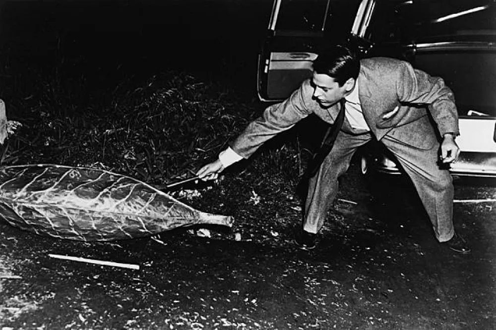 華納兄弟將重拍1956年科幻經典《天外魔花》　