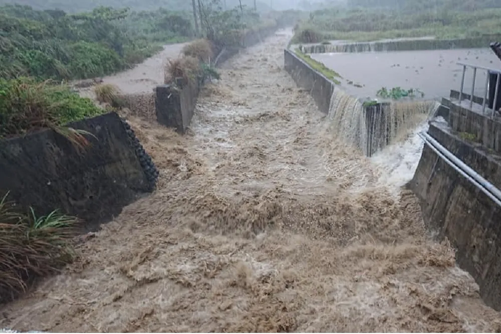 【17:30海上警報解除】蘭嶼芋頭田遭滅頂 　島民：丹娜絲的眼淚流成河