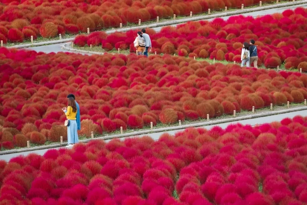 日本必做 10 大體驗！泡湯、賞夜景、穿和服、參拜神社......你還有那些沒做？