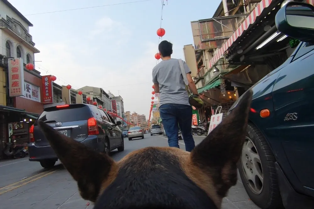 帶給毛小孩全新的體驗！全台唯一可以帶狗的背包客棧在雲林