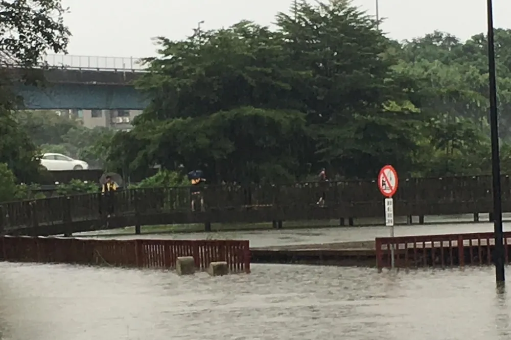 【暴雨狂炸中部】彰化景觀公園變水上樂園　大批鯉魚游竄草地