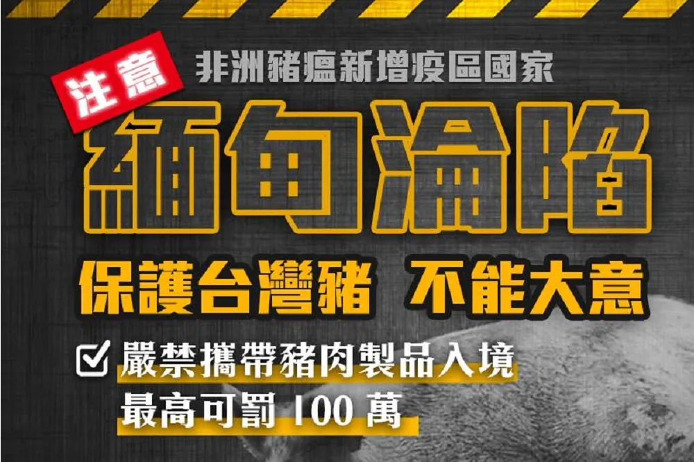 【非洲豬瘟】緬甸淪陷成亞洲第7個國家　15日起違規帶豬肉入台罰20萬