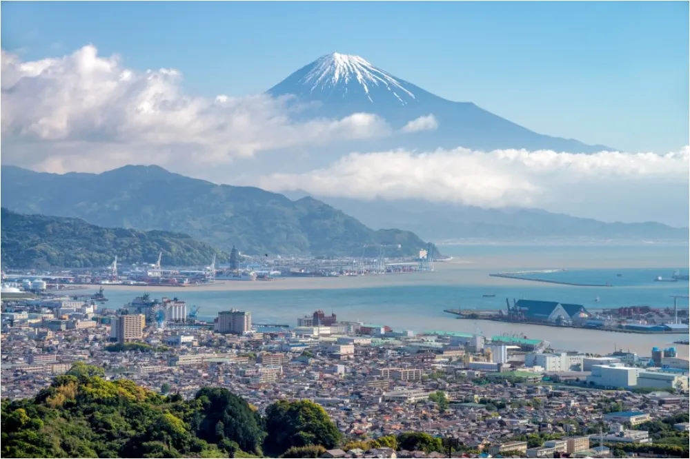 拒絕菜鳥觀光路線！日本人的私房景點大公開：藏王狐狸村、名花之里、美山雪燈廊一次搞定