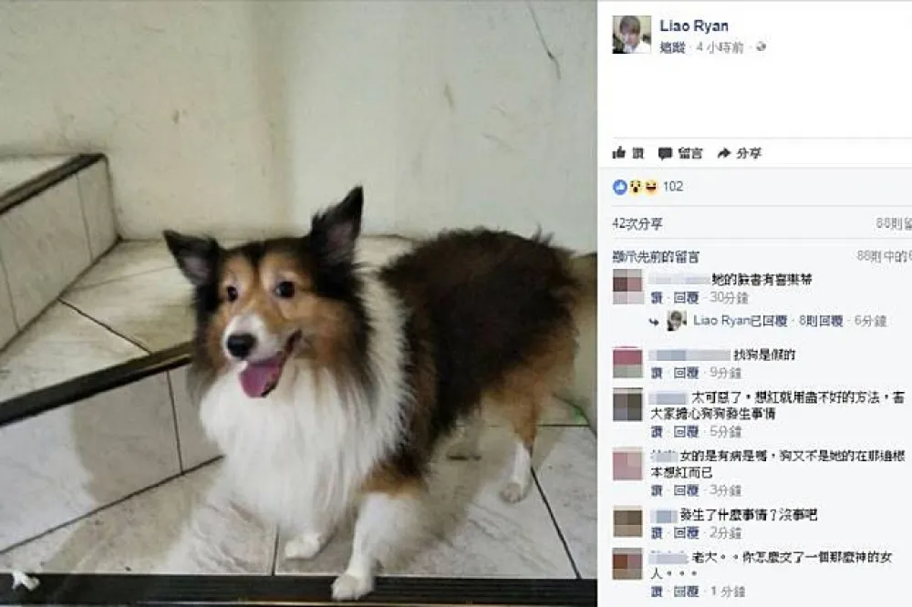 百萬尋狗啟示遭踢爆　分手情侶一場鬧劇