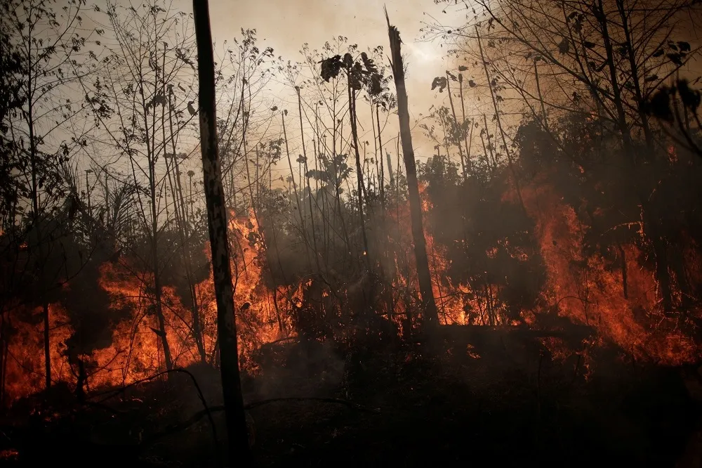 【地球之肺on fire】巴西總統派兵赴亞馬遜滅火　批國際施壓為干預內政