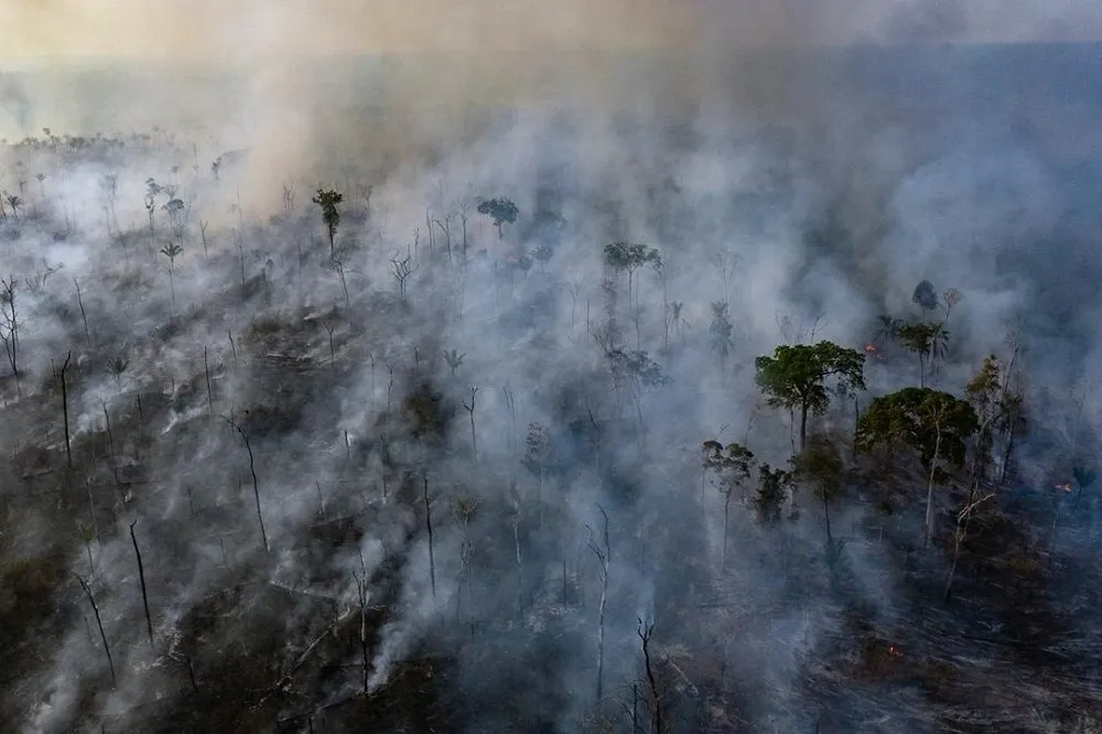 【地球之肺on fire】亞馬遜雨林大火止不住　網友籲Amazon貝佐斯捐款救火