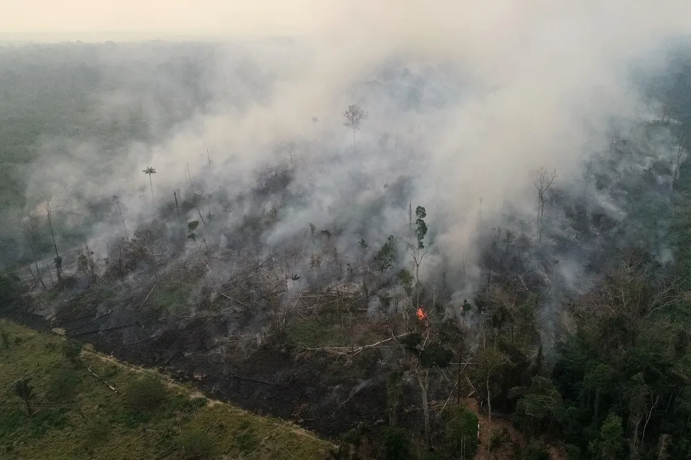 【地球之肺on fire】地球供氧出現危機？　亞馬遜雨林熱帶草原化