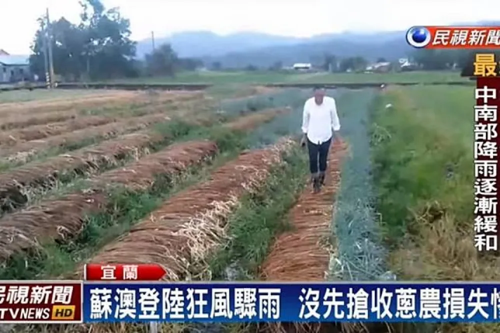 苦！宜蘭農損逾1億　三星蔥損失慘重