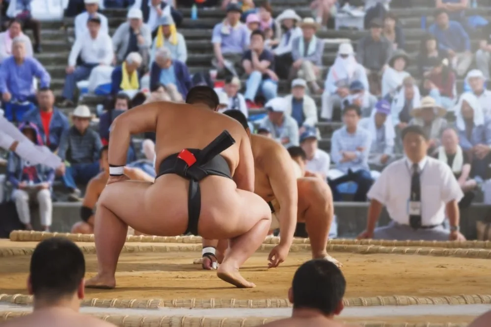 不可不知的東京旅遊必玩體驗！武士道、相撲、動漫角色扮演