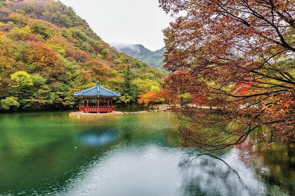 亞洲賞楓葉景點大公開！2019日韓台賞楓攻略一次看