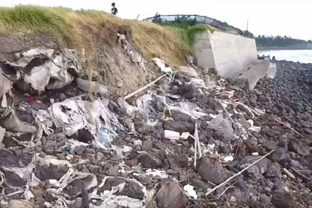 戴奧辛集塵灰填海造島　新竹新豐淪為「最毒海岸線」　