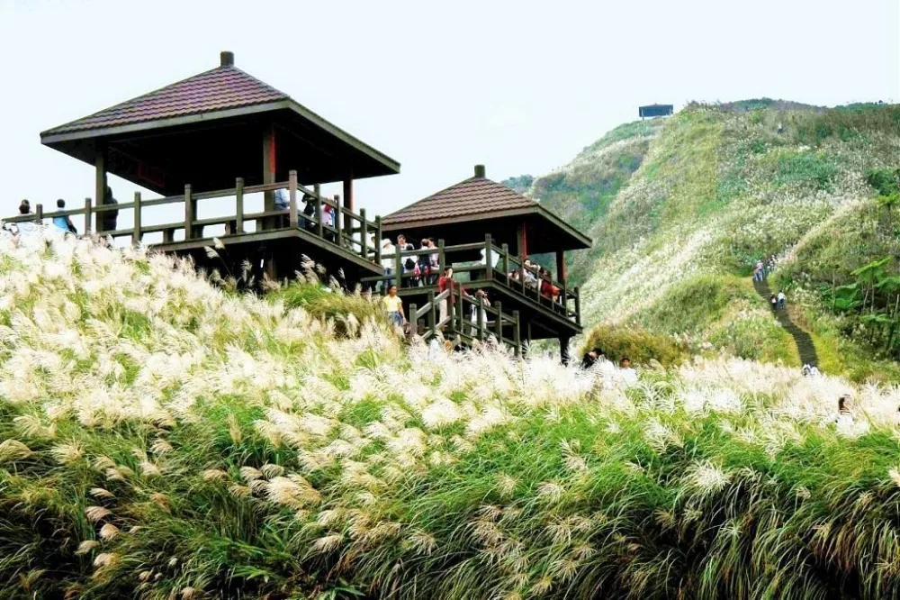 秋天來去健行步道走走！台灣登山健行古道 8 選推薦