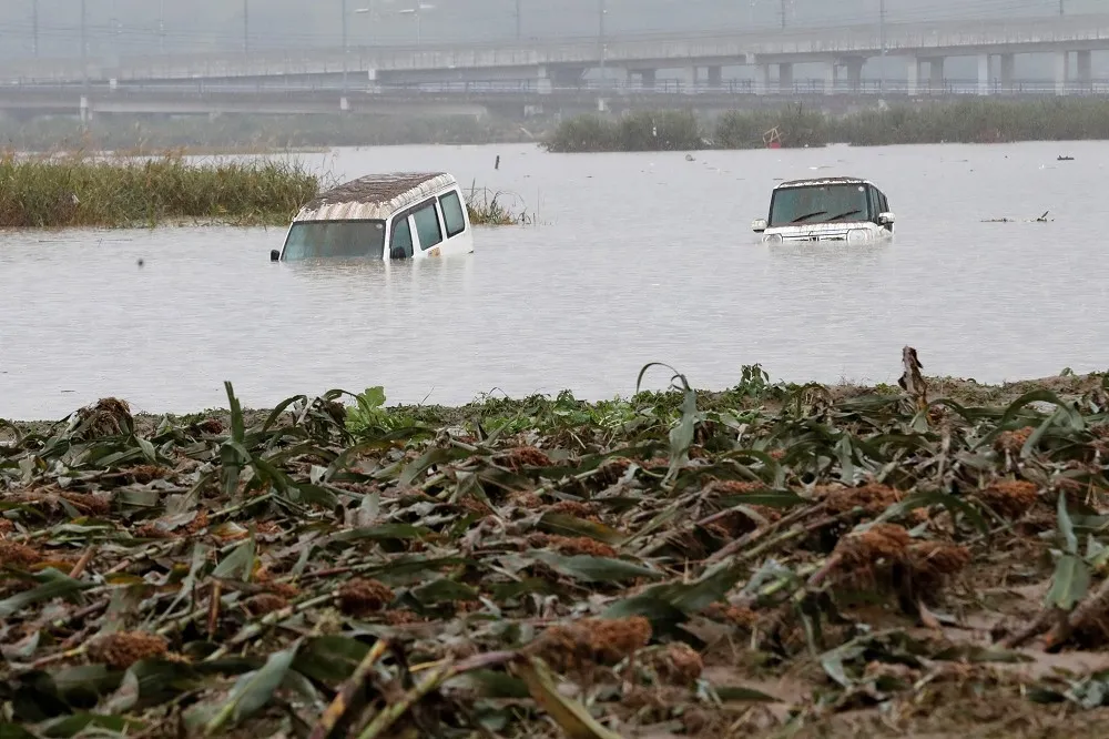 12小時降雨等同整月雨量　颱風「博羅依」登陸日本已釀8死