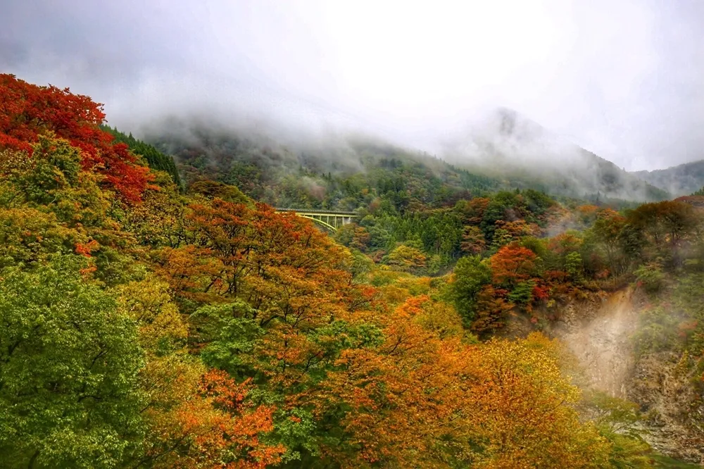 【有片】2019 台灣人最愛的旅日城市公布！楓紅、牛舌、溫泉　秋冬來東北仙台最合適