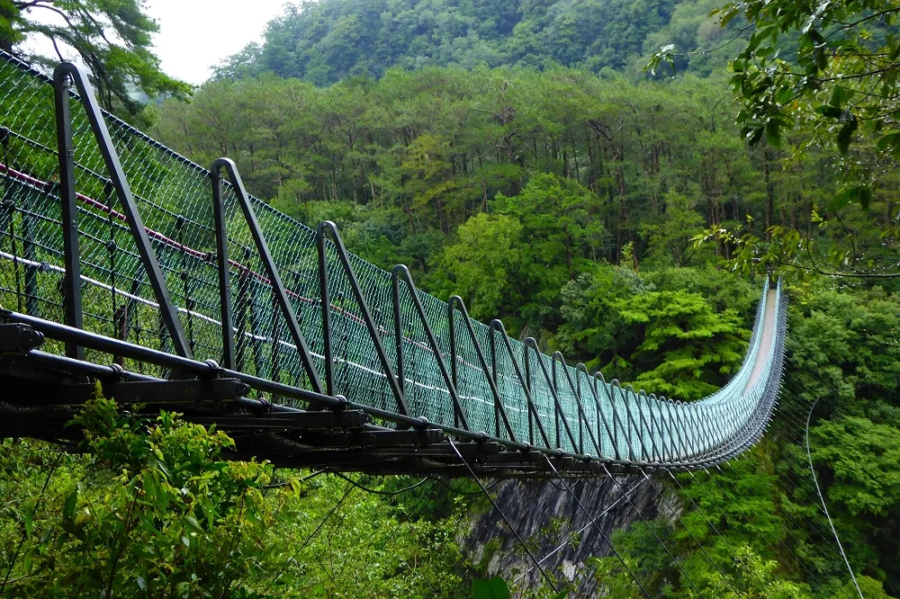 【還原現場】2歲兒驚墜80米奧萬大吊橋　父母崩潰直擊救不回