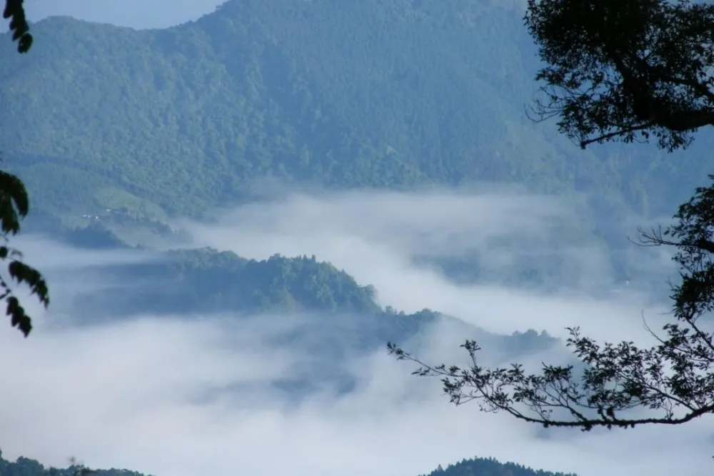 新竹景點：看山看雲海！雪霸觀霧遊憩區 X 野馬瞰山步道