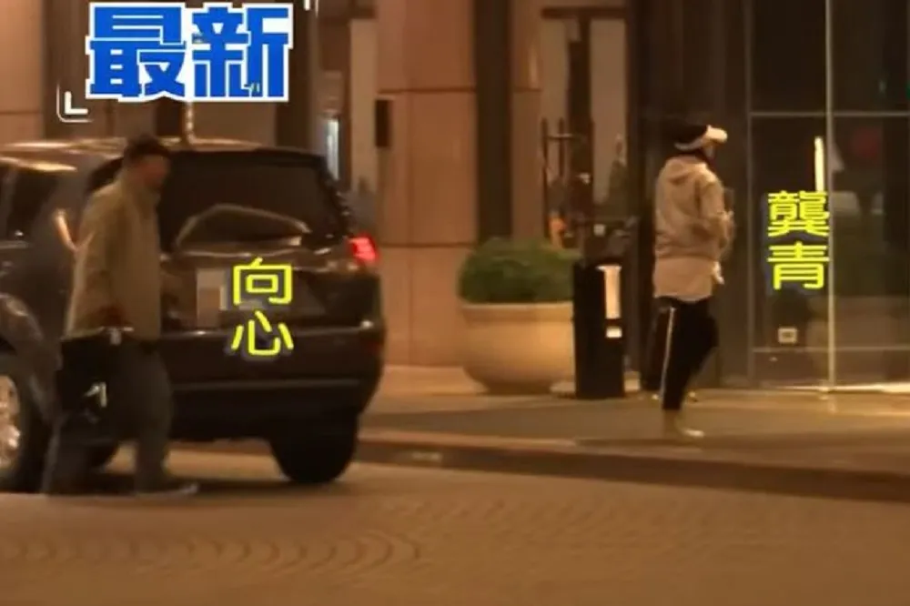 向心夫婦在台尋找投資標的　2年前曾看上「利澤地熱電廠」