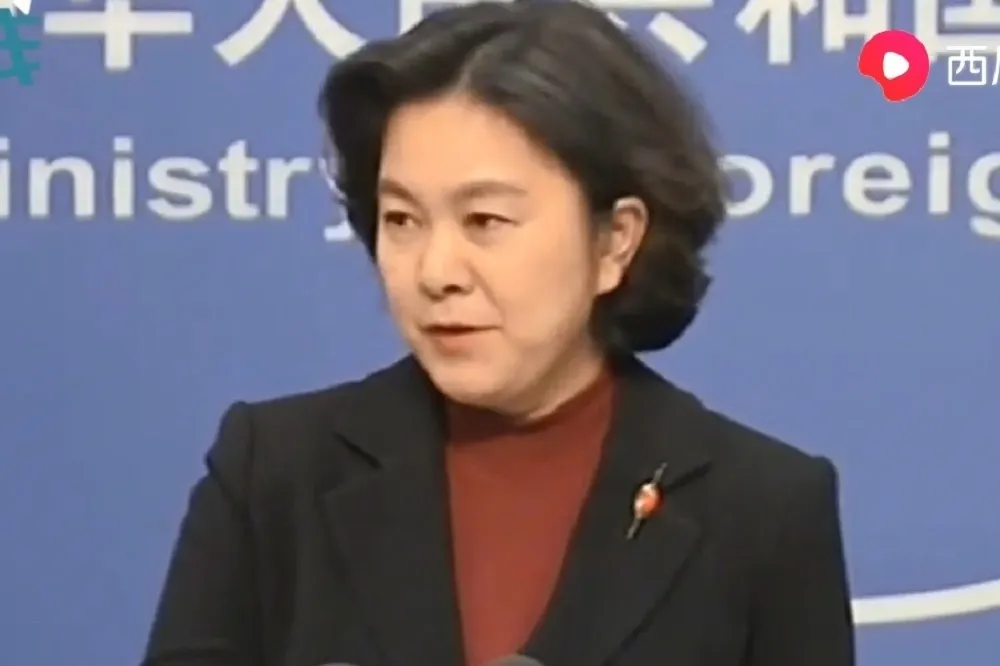 嚴詞回應「中國威脅論」　中國外交部發言人：熊貓會比禿鷹更危險嗎？