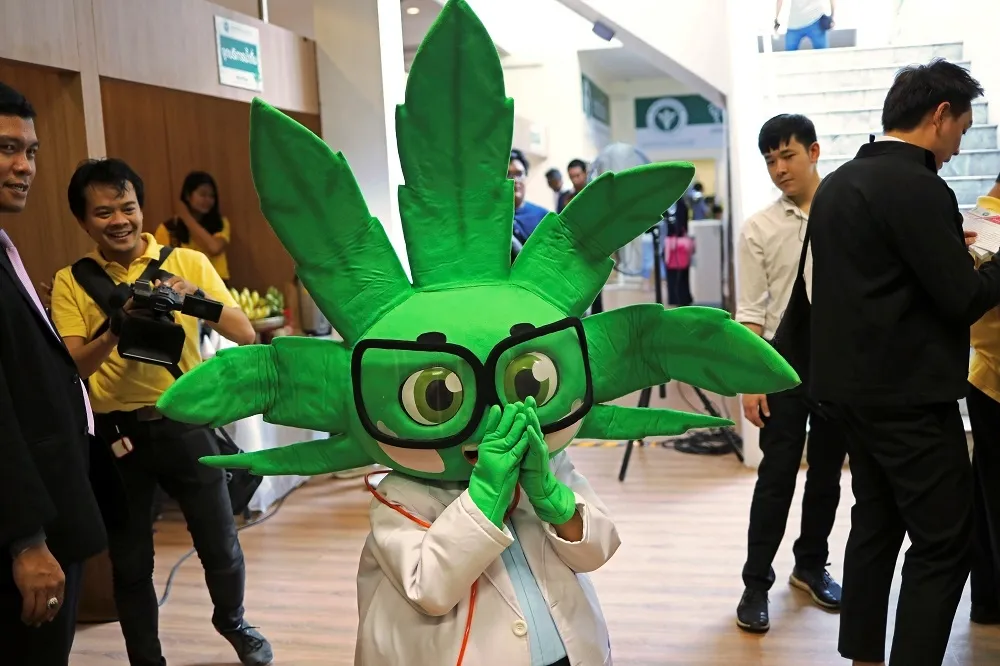 泰國首間官方「大麻診所」開張　打造醫用大麻產業鏈