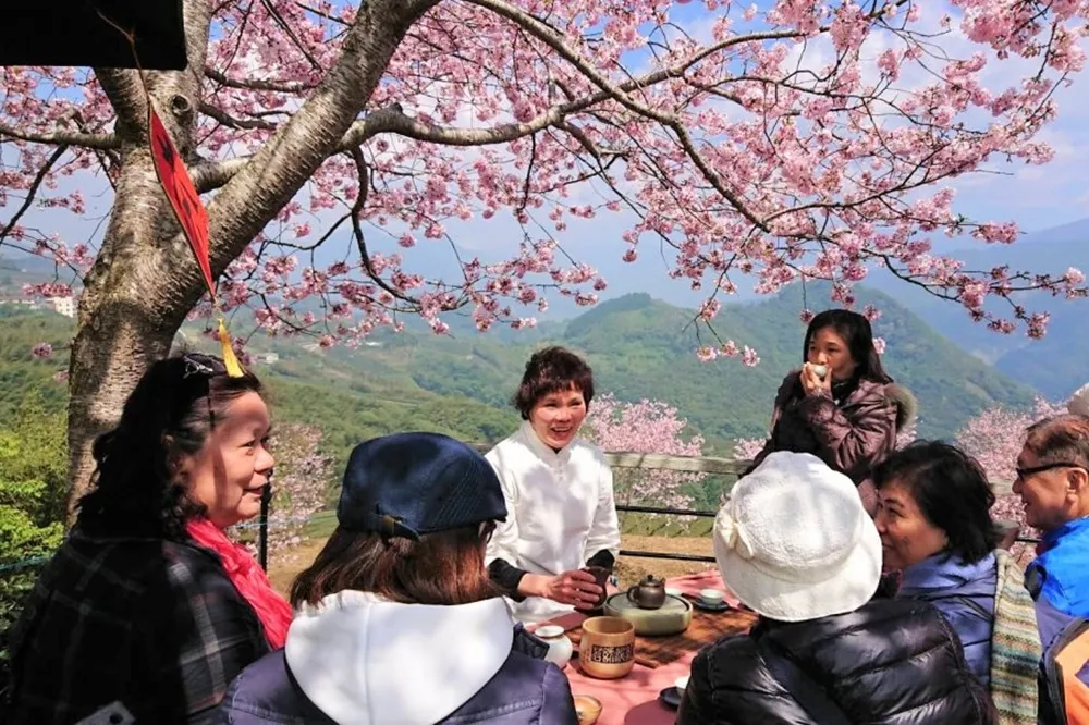 台灣連假旅遊推薦玩法：228賞櫻去！連假旅遊這樣玩最特別