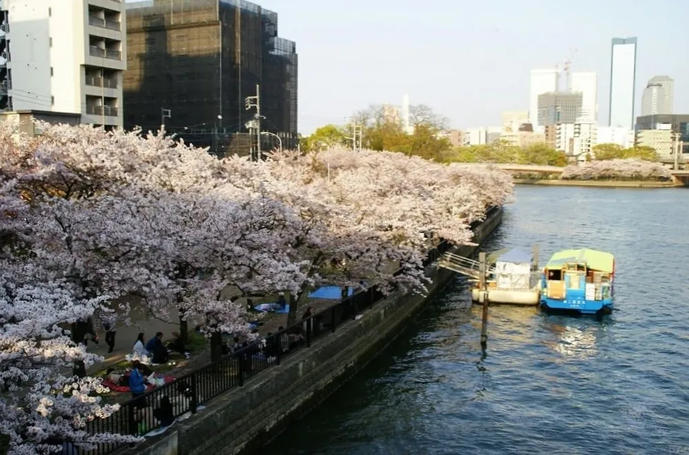 日本大阪櫻花人氣景點！大阪城/造幣局/萬博紀念公園賞櫻去