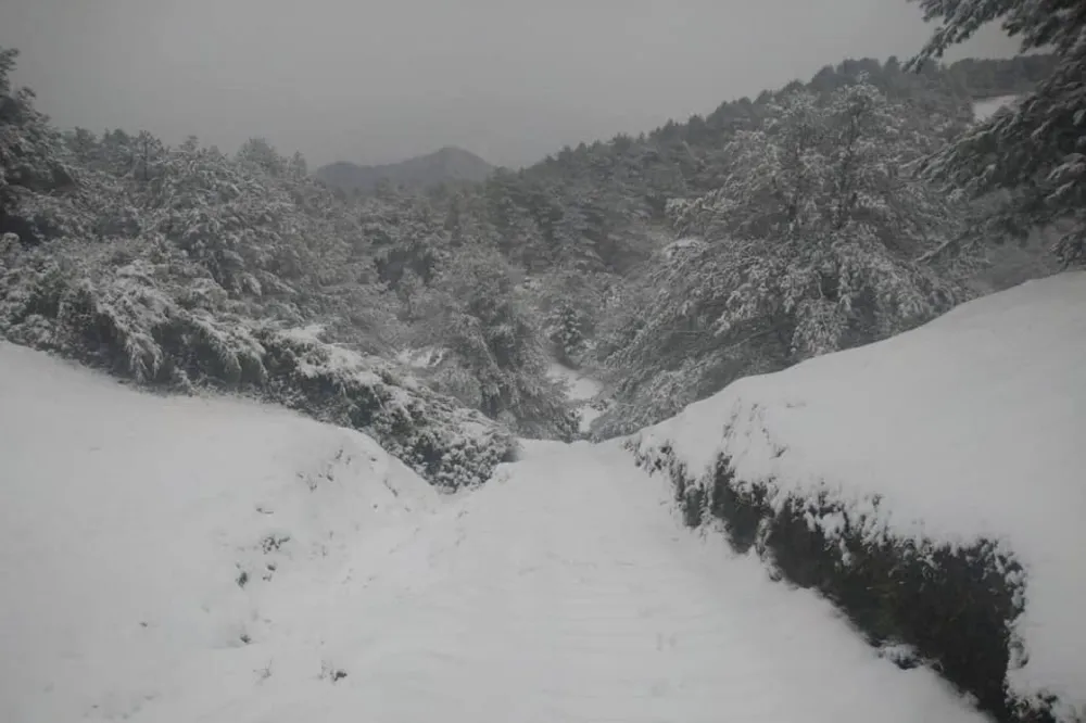 【寒流發威】全台溼冷最低溫14度　玉山、合歡山high降雪