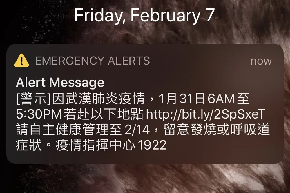 鑽石公主號31日有人下船　北北基發送「國家級警報」提醒