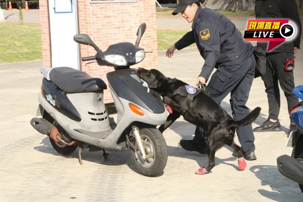 【直播】3萌犬出動！　國防部士林憲兵隊緝毒犬分組