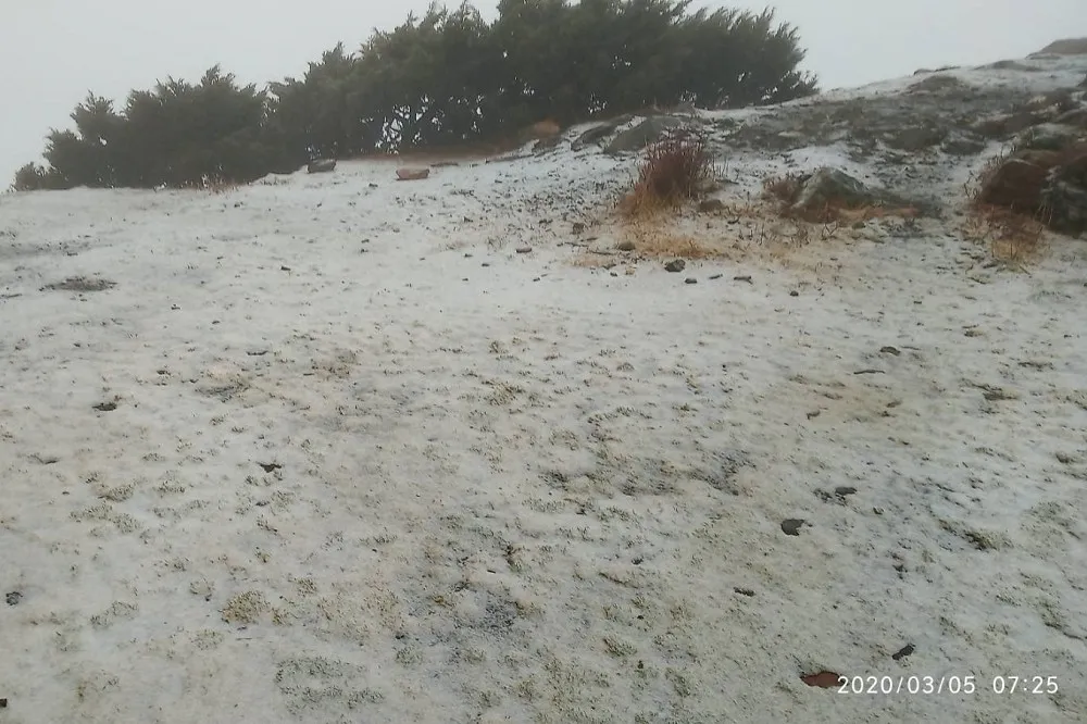 【鋒面來襲】玉山又成銀色世界　清晨7:10降瑞雪　