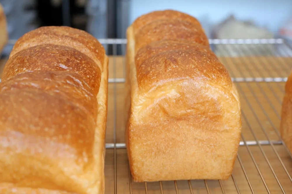 【生吐司風潮 2】低調來台的日本鳥取高級吐司專門店 TREES BREAD 