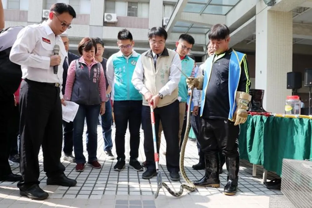 23日凌晨起台南市捕蜂捉蛇的工作　由農業局外包廠商專業處理