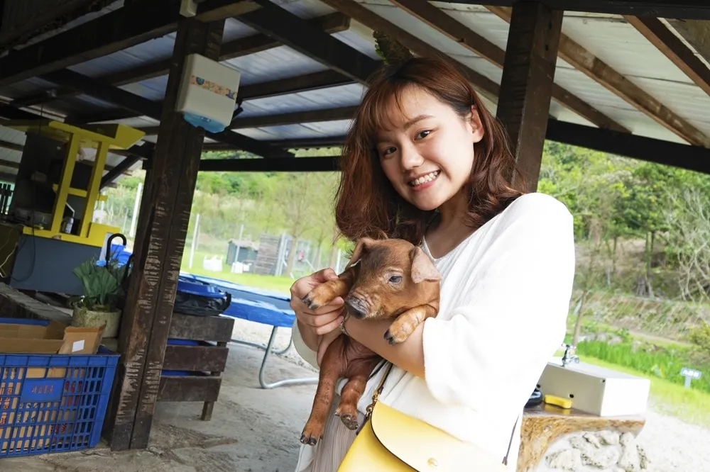 【綿羊豬 1】有山有海有小動物！北台灣隱世之旅　在「鹿羽松牧場」和綿羊豬、梅花鹿玩樂