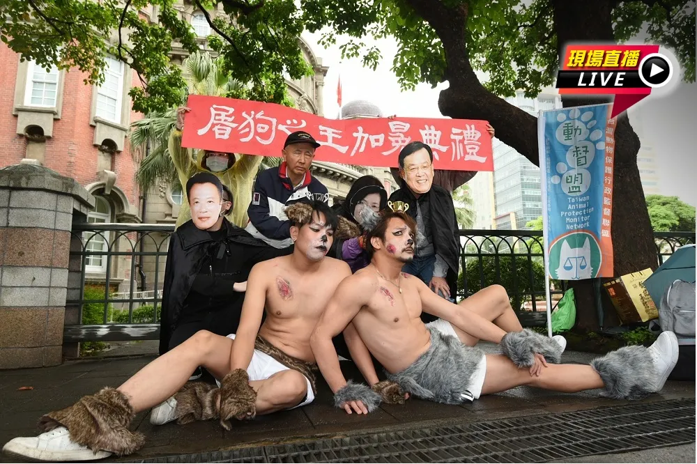 【直播】流浪狗收容所死亡率高　澎湖、嘉縣、彰化為屠狗三大縣市　