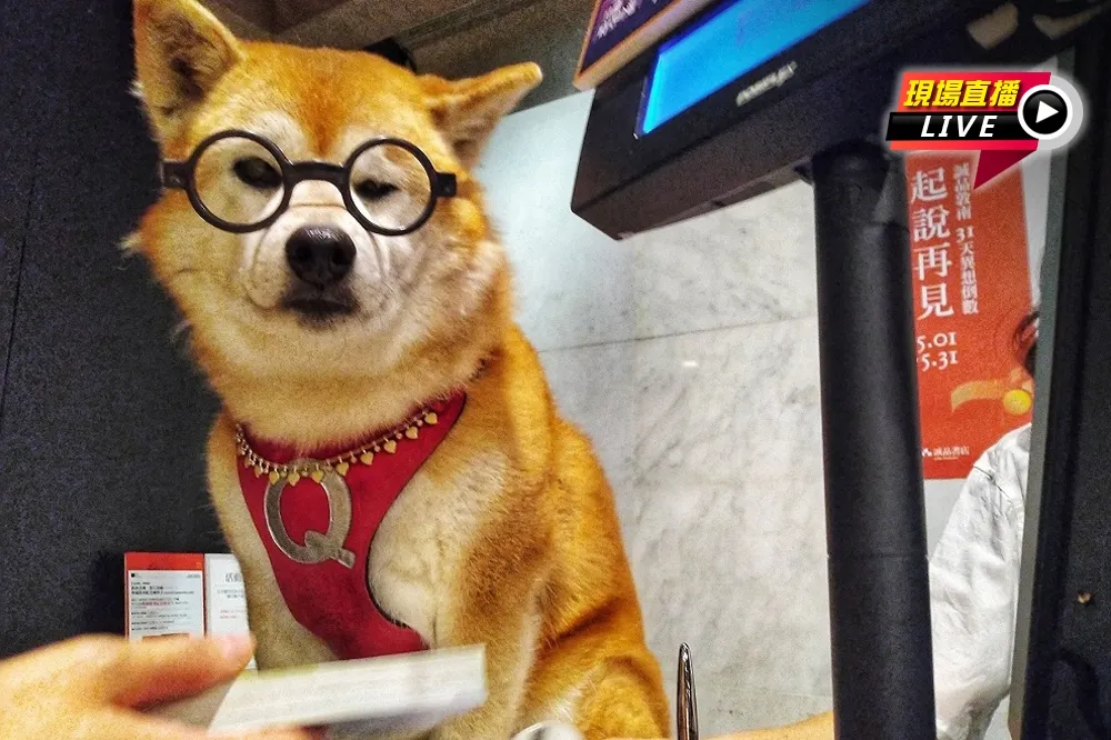 【直播】超人氣「柴犬Q將」　擔任誠品書店一日店長
