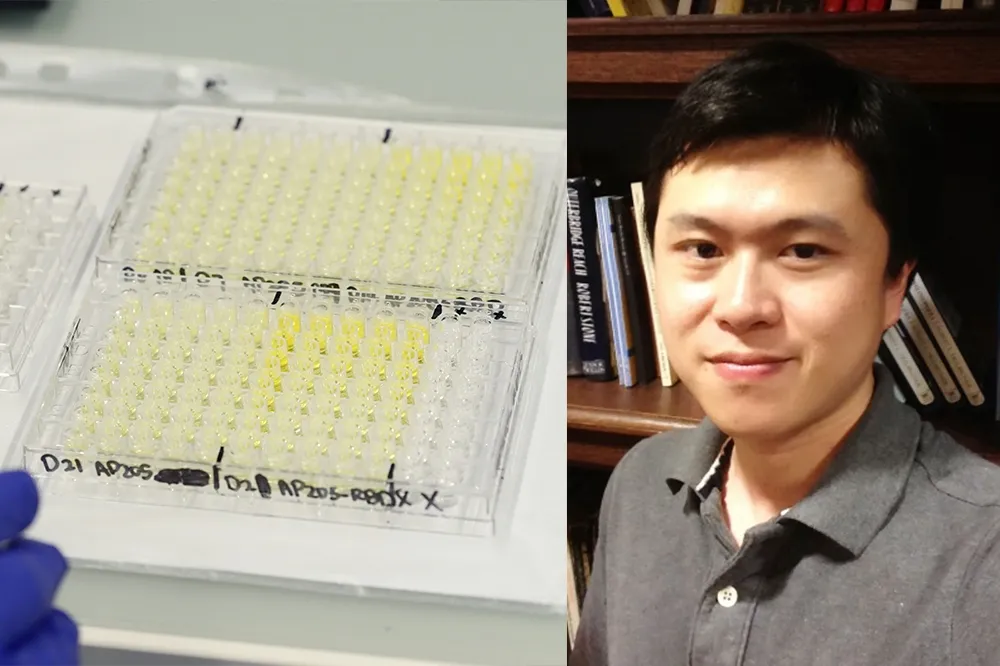 研究新冠病毒華裔教授遭槍殺　美警：親密伴侶長期爭執