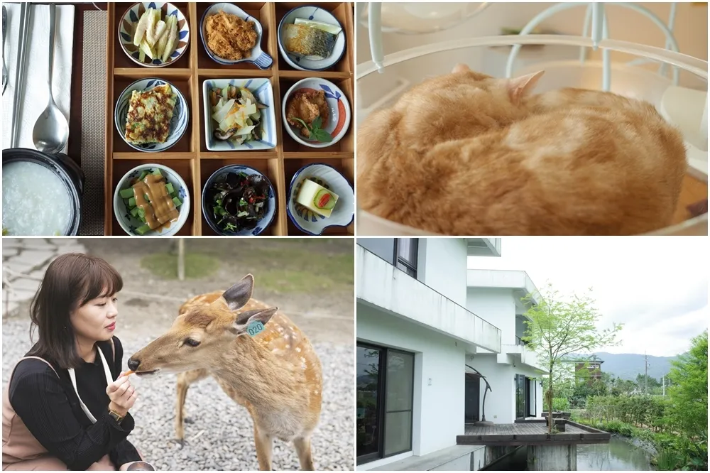 鹿控、貓奴的夢幻宜蘭行！入住雷院子享田園早餐　大啖韓式炸雞與路邊烤肉