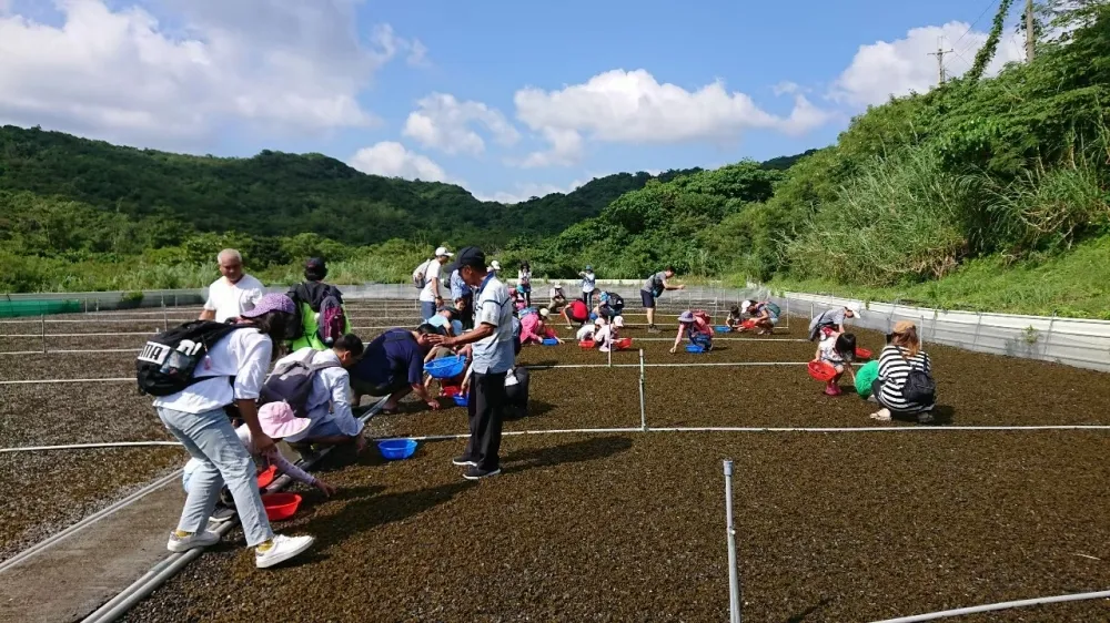 歡迎陳時中率防疫五月天對寶瓶座流星雨許願、與銀河合照、參加獵人學校「一日農夫採菇樂」