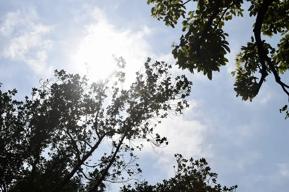 炎熱高溫再忍受兩天　7、8日劇烈天氣又來了