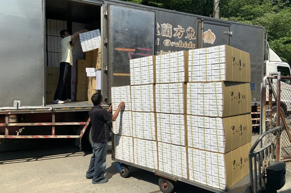 【不被疫情打倒】蜜棗珍珠芭樂上架杜拜　高雄果品外銷「逆勢成長4％」