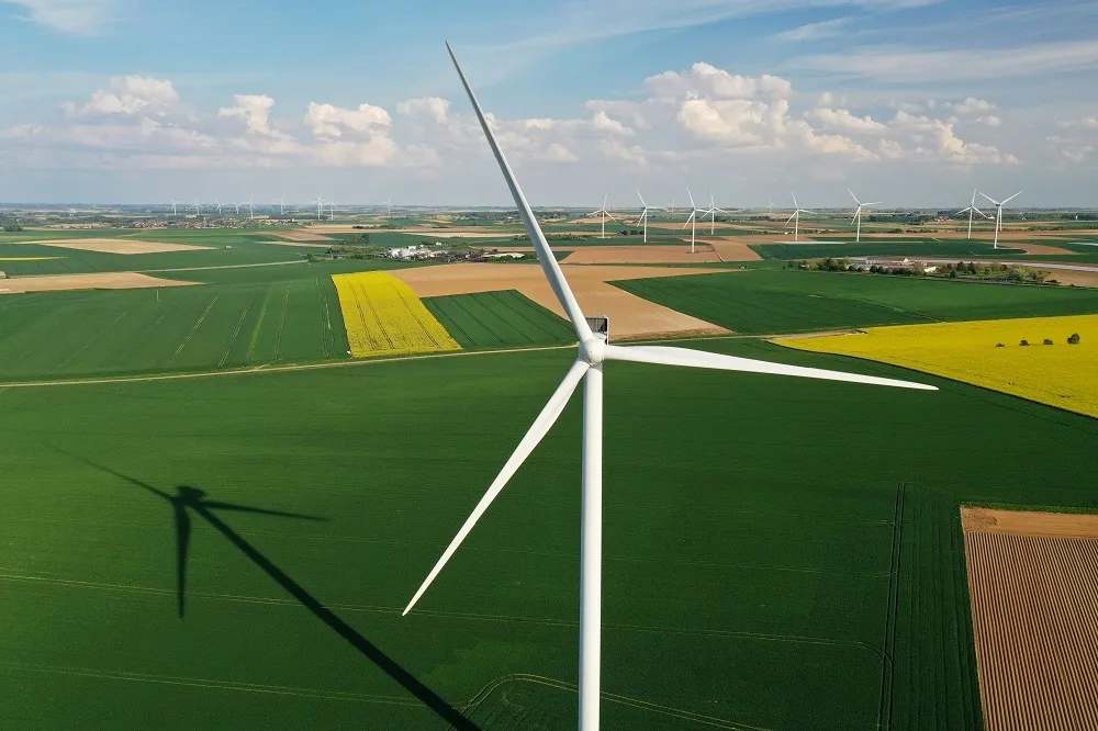 【全球最強】發電技術成熟、成本降低　荷蘭興建首座零政府補助風電廠　