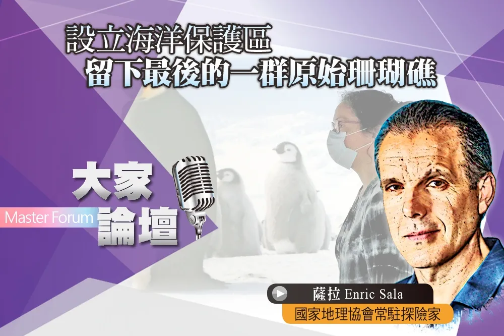 《大家論壇》印度洋視角：設立海洋保護區　留下最後的一群原始珊瑚礁