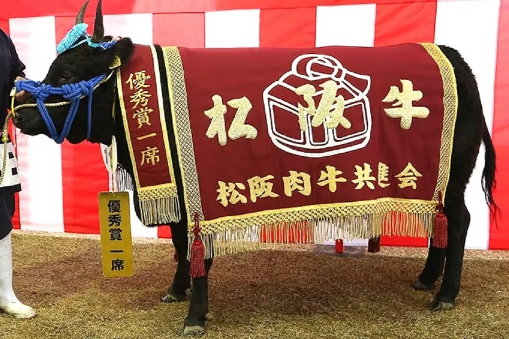 【和牛燒肉新開店 1】日本銘柄牛、和牛、國產牛怎麼分？最頂級的「和牛」是哪一種？