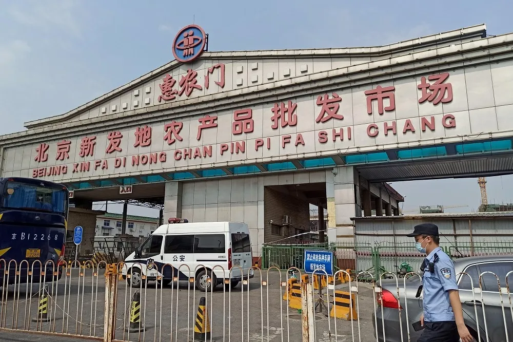 【新冠肺炎甩鍋】北京製造輿論推責「進口鮭魚」　要求民眾封口禁談疫情