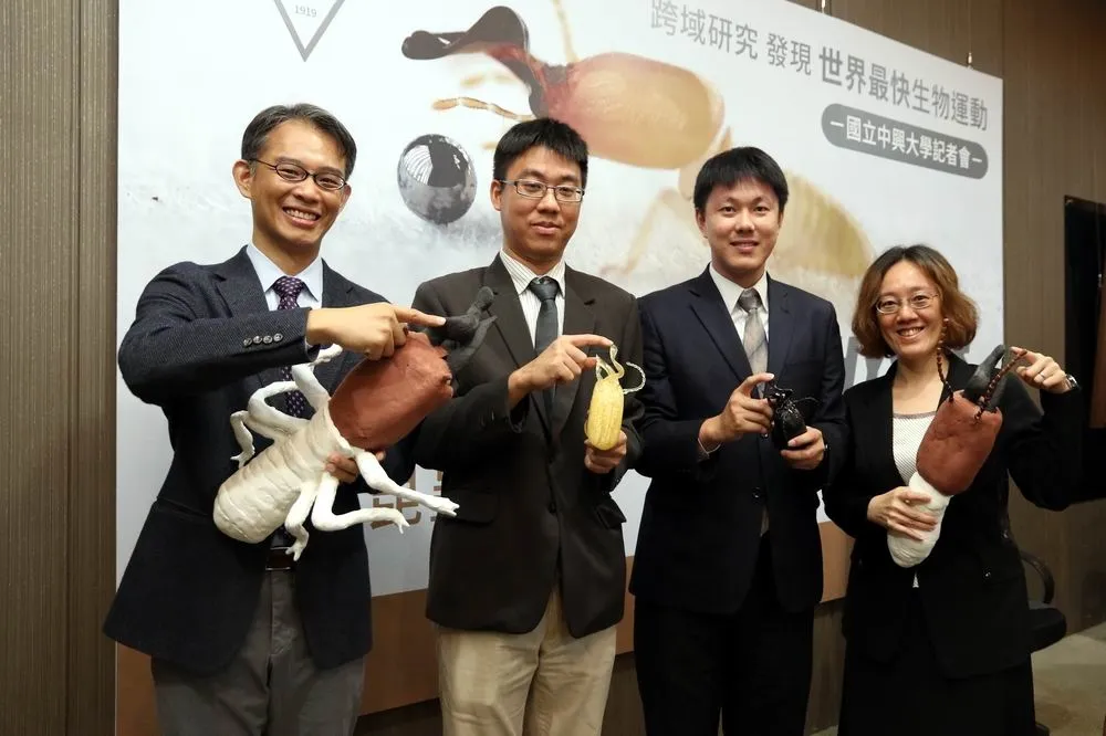 白蟻大顎彈動速度快過高鐵　打破目前所有動物運動極速