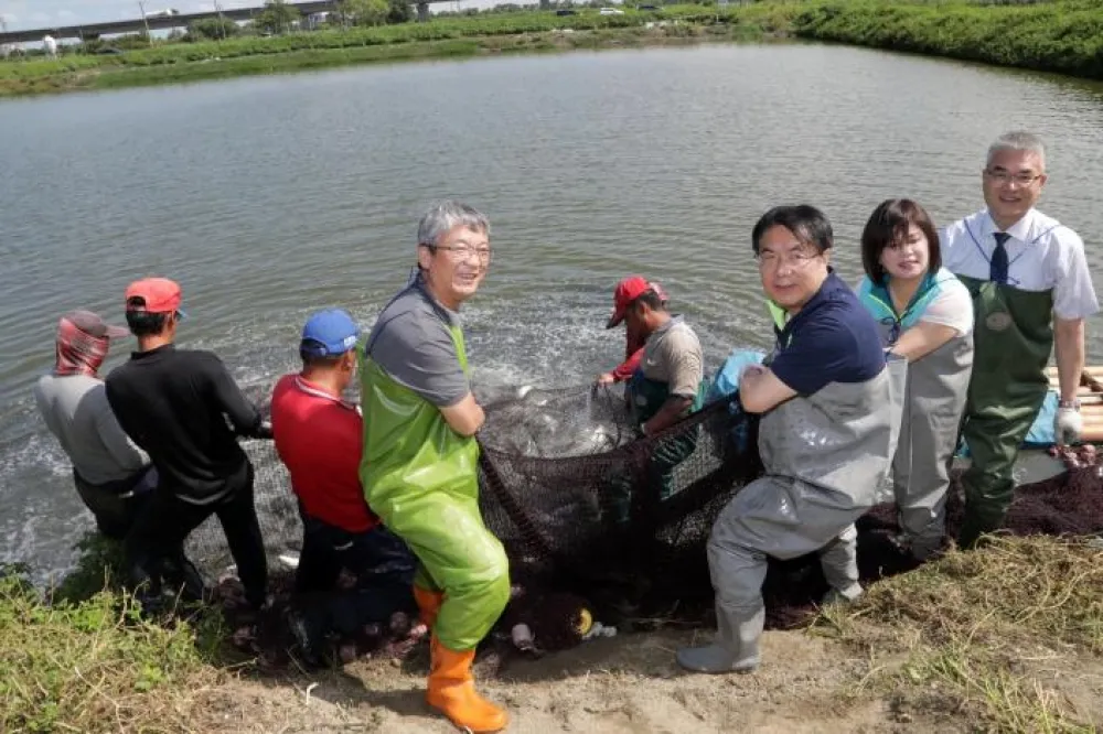 黃偉哲親自下海捕魚 台南䲜-虱目魚季7/31全聯開跑