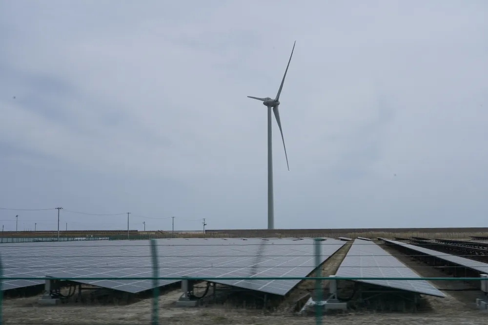 【業者估賠15%】海岸防護成綠電程咬金　6縣市「農地種電」施工卡關