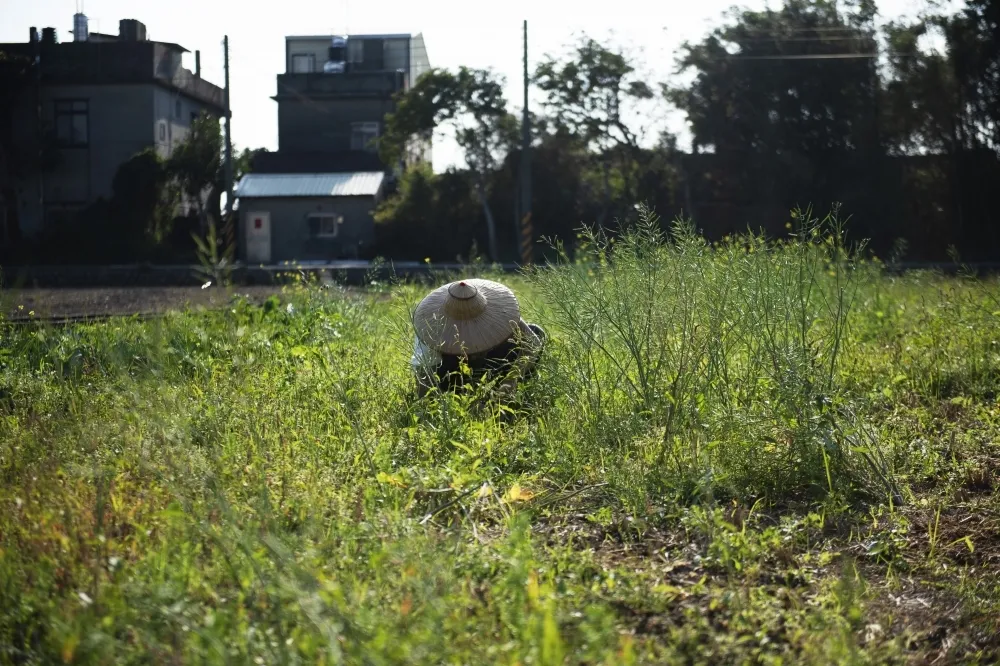 【沿海劣地種電】一紙公告卡住工期　地方槓中央部會欠溝通