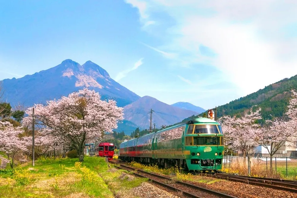 【Hold不住了】五天前華旅才宣布　利百加旅行社10/1公告歇業
